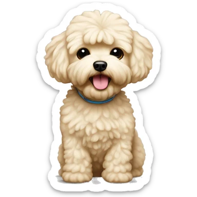 Cream maltipoo sticker