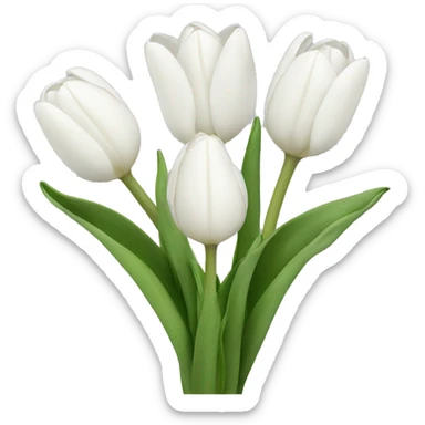 White tulips  sticker