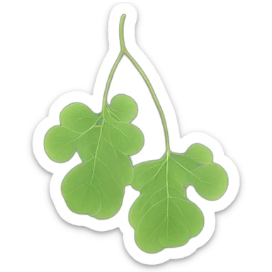 Lunaria sticker