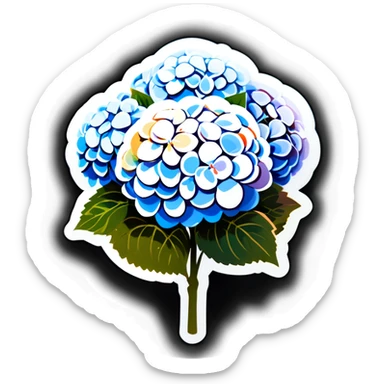 Large bundle of white hydrangeas  sticker