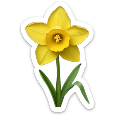Daffodil sticker