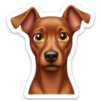 Brown Pinscher with short tale sticker