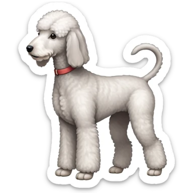 White Bedlington Terrier Full Body Photo sticker