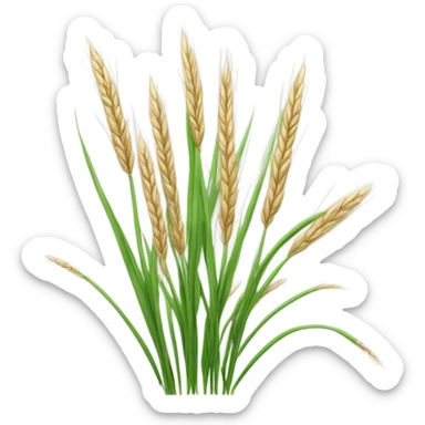 winter rye  sticker