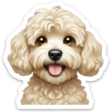 blonde maltipoo dog sticker