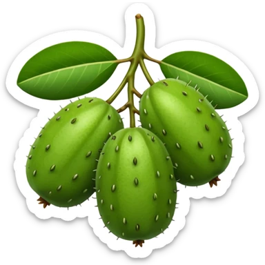 feijoa fruit cluster sticker