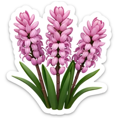 Pink hyacinth sticker