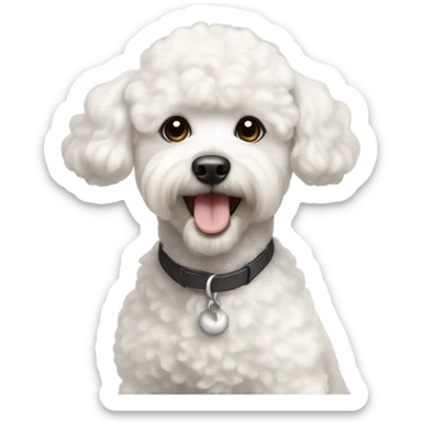white poodle mix bichon sticker