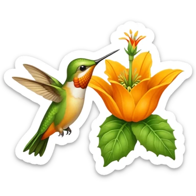 Squash blossom and hummingbird  sticker