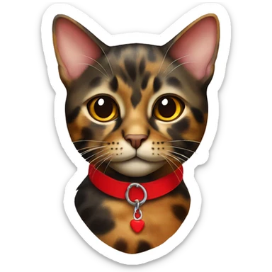 Tortoiseshell cat with red collar sticker