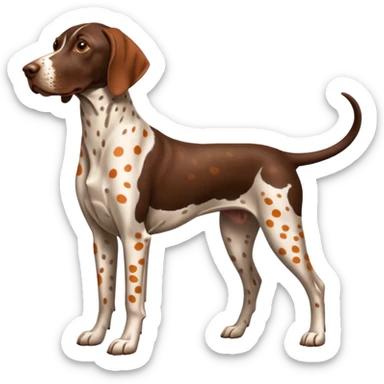orange spotted face and back german short haired pointer docked tail sticker