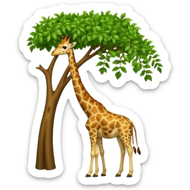 giraffe eating leaves from a tree sticker
