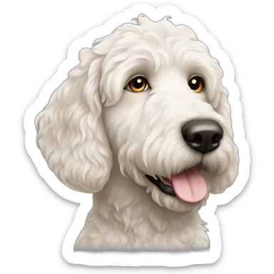 white-labradoodle-with-black-spot-around-left-eye sticker