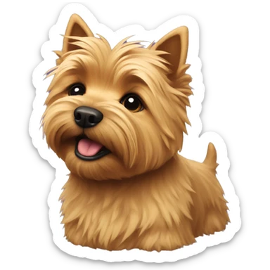 Norwich terrier  sticker