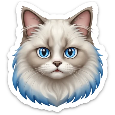 angry Ragdoll cat sticker