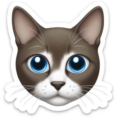 snowshoe cat with white nose and blue eyes sticker