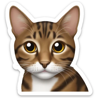 Brown tabby cat with white patches  sticker