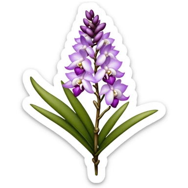 single white purple Rhynchostylis Orchid, 
straight stem sticker