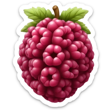 Raspberry  sticker