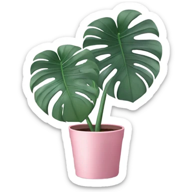 violet Monstera flower in a pink-colored pot sticker