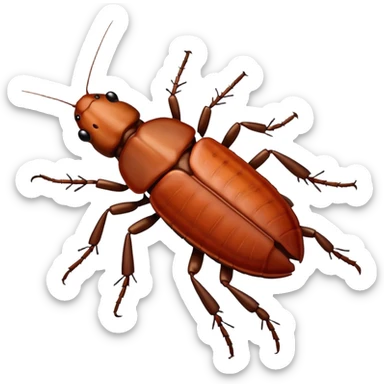 Cockroach moving  sticker