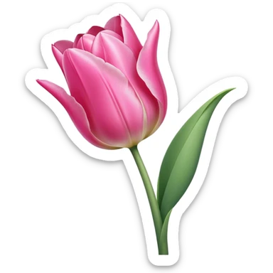 single pink Tulip, straight stem sticker