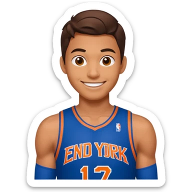 Spiderman new york knicks sticker