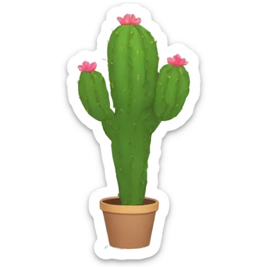 single flat Nopal without pot sticker