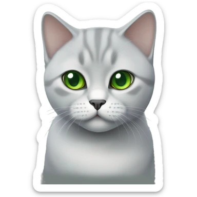 British shorthair cat with green eyes sticker