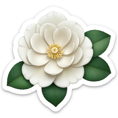 single White Camellia Japonica, straight stem sticker
