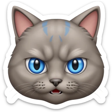 angry grey cat blue small eyes. iphone real emoji style sticker