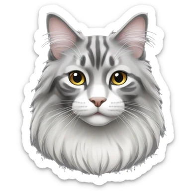 Black and white Main coon cat sticker