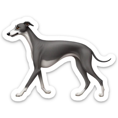 Greyhound walking sticker
