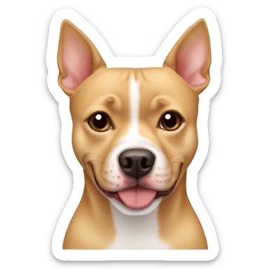 Pitbull mixed with a Pomeranian and chihuahua , blonde red and white, short legs long body sticker