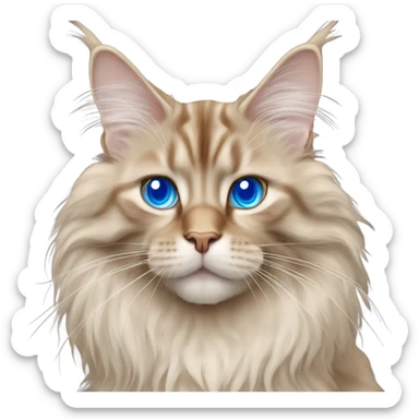 beige maine coon cat with blue eyes sticker