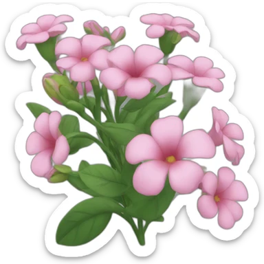 Flores sticker