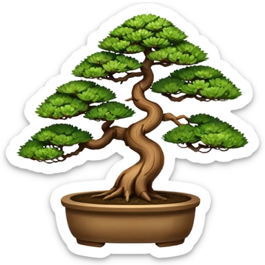 Bonsai plant of dawn redwoods trees 3 of them. In a bonsai pot  sticker