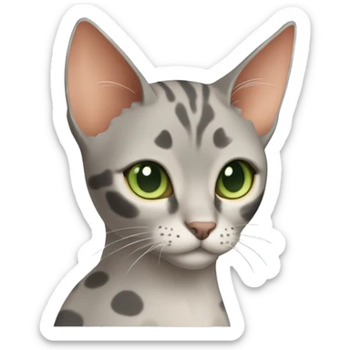 Short-haired oriental cat ,full body , grey coat with small spots , green eyes , terracotta nuzzle sticker