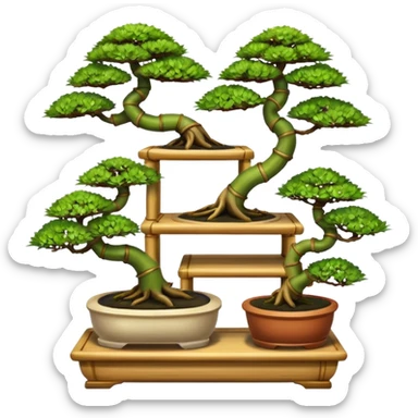 Twisted bamboo floor shelf unit displaying bonsai plants(in shallow bonsai pots) cluttered because they have too many  sticker