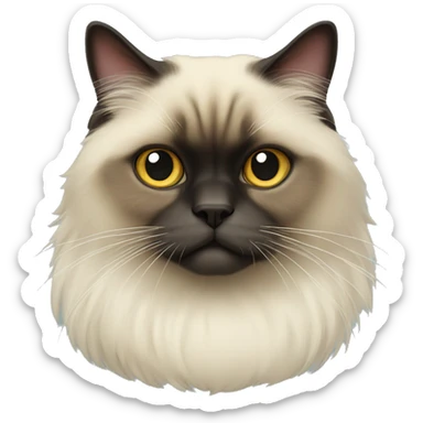 Himalayan cat,half body sticker