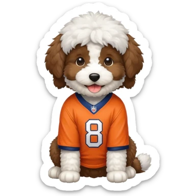 Bernedoodle puppy wearing denver broncos jersey sticker