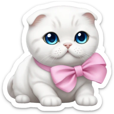 White Scottish fold with blue eyes and pink bow sticker