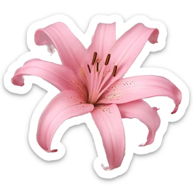 pink lillies  sticker