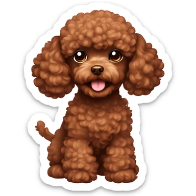 Brown toy poodle  sticker