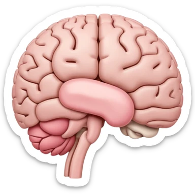 simple emoji-style illustration of the hypothalamus, small curved brain region beneath the thalamus, soft color palette, minimal details sticker