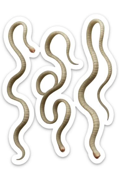 CINQUE PARASSITI COME LA TENIA FLUTTUANO IN ARIA, iperrealistico 4k sticker