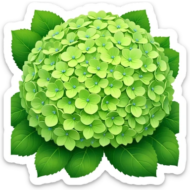 Green hydrangeas sticker