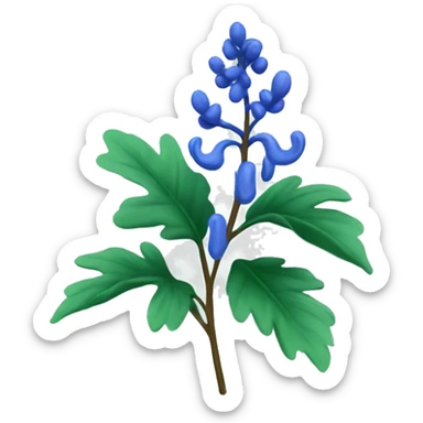 Blue Cohosh plant sticker