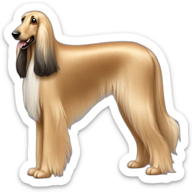 Dog Canine Afghan Hound full-height sticker