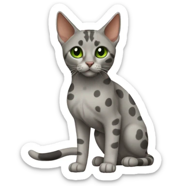 Short-haired oriental cat ,full body , grey coat with spots , green eyes , terracotta nuzzle sticker